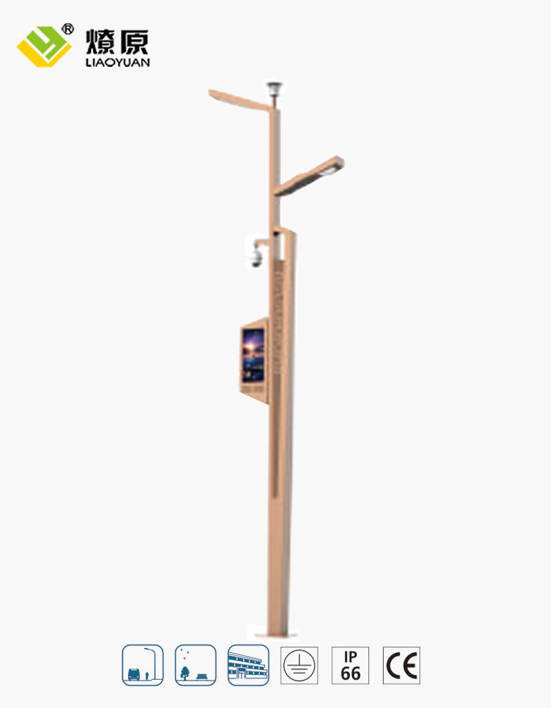 LYZ-01 Smart Light Pole